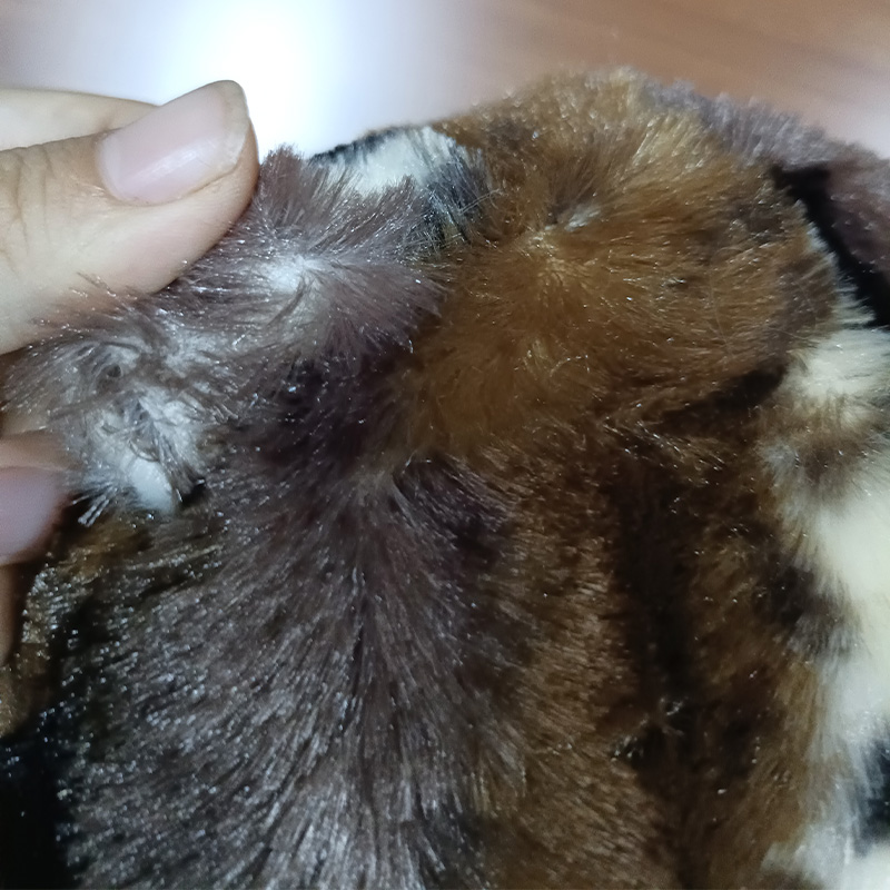 フクロウのぬいぐるみ