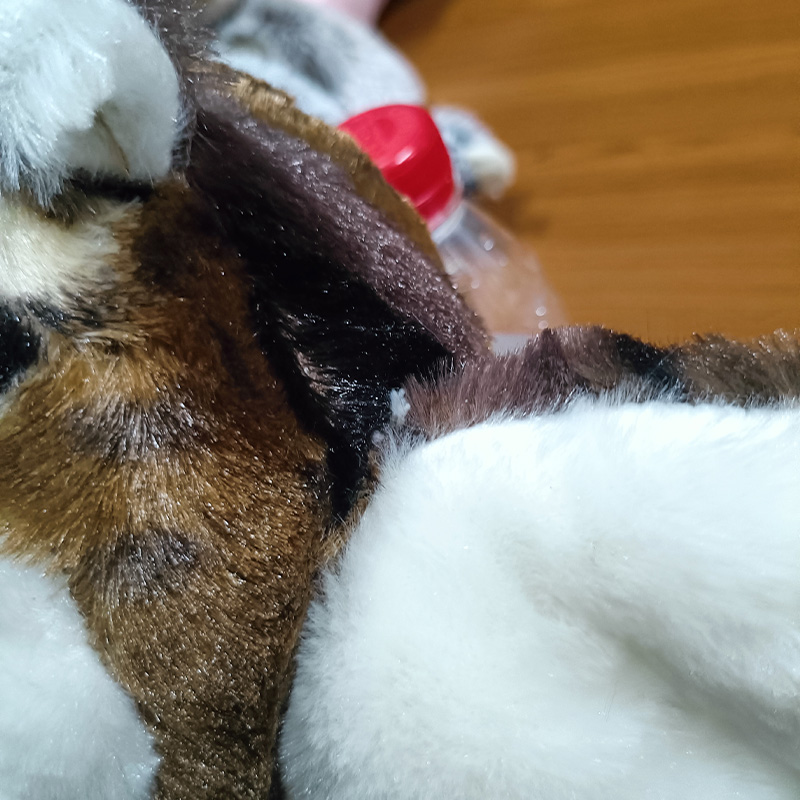 フクロウのぬいぐるみ