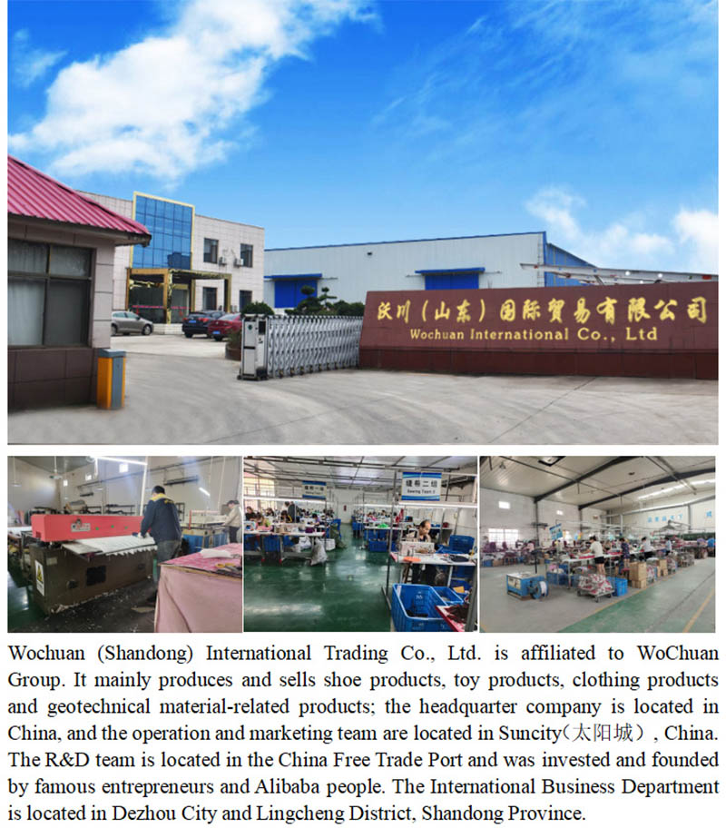 1703466051580797.jpg 公司介绍图小さい200k.jpg